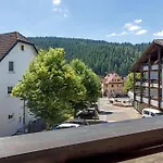 Konukevi Gaestehaus Loewen 3*