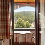 Gaestehaus Loewen Konukevi Schramberg