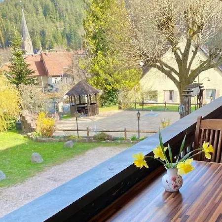 Gaestehaus Am Eichbach Apartment Schramberg