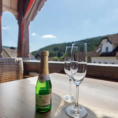 ゲストハウス Gaestehaus Loewen シュランベルク