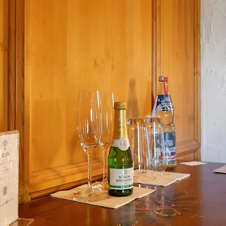 Gaestehaus Loewen ゲストハウス シュランベルク